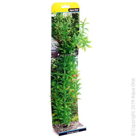 Aqua One Ecoscape Xlarge Ludwigia Green (28412)-Hurstville Aquarium