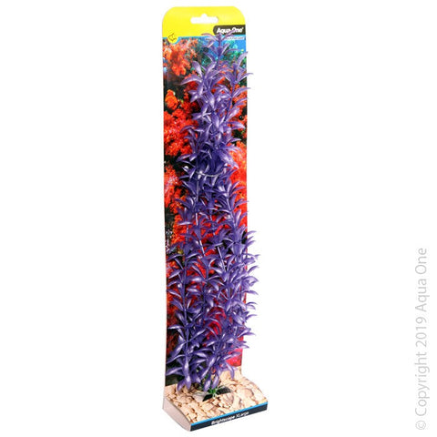 Aqua One Brightscape Xlarge Ludwigia Purple (28439)-Hurstville Aquarium