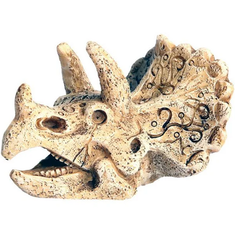 Aqua One Ornament Dinosour Head W Horn 6.5x8x5.5cmh