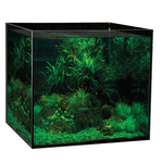 Aqua One Aquasys 155 Tropical/plant Aquarium 155l 60l X 55d X 53cm H