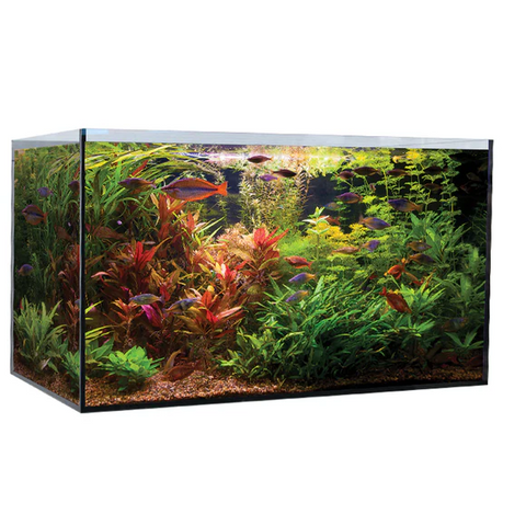 Aqua One Aquasys 235 Tropical/plant Aquarium 235l 90l X 55d X 53cm H