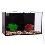 Aqua One Betta Condo Duo 40x24x24cm (56290)-Hurstville Aquarium