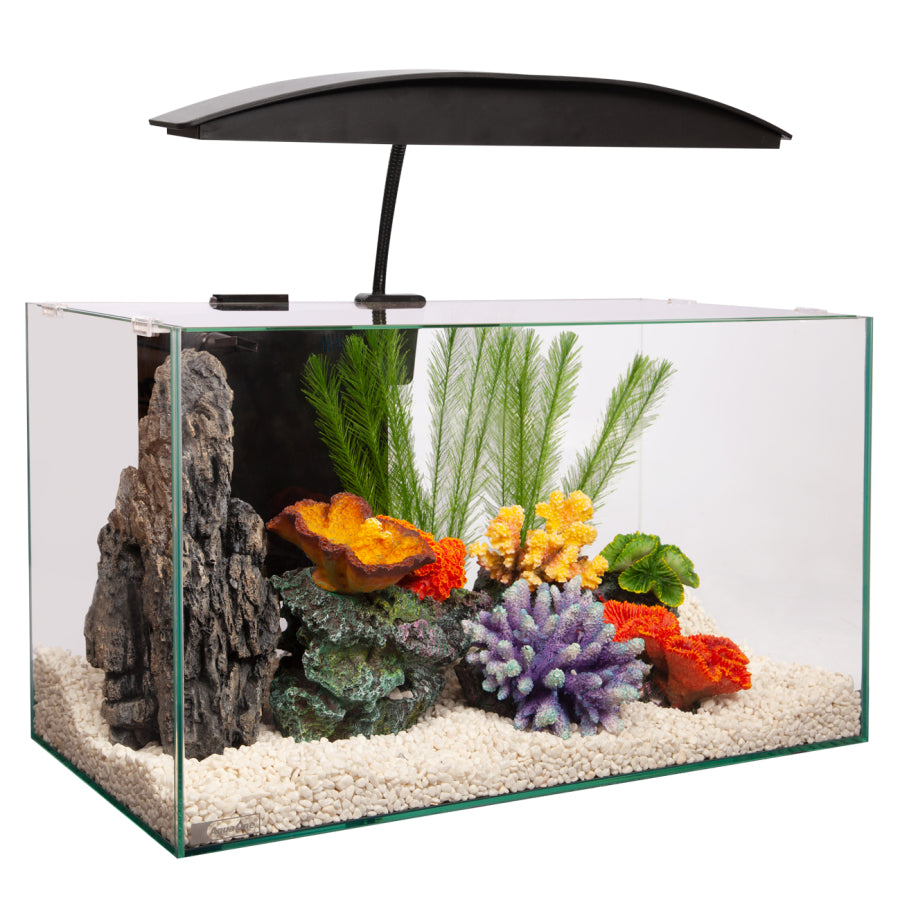 Aqua One Reflection 55 Glass Aquarium 55l 60l X 30d X 34cm H ...