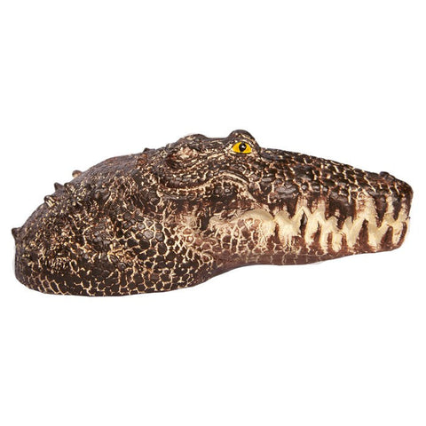 Aqua One Ornament Crocodile Head Medium 6.5wx13.5dx4.5cmh