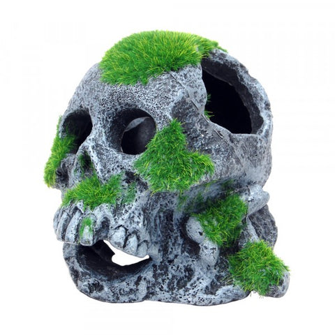 Bioscape Moss Covered Skull 12x13cm