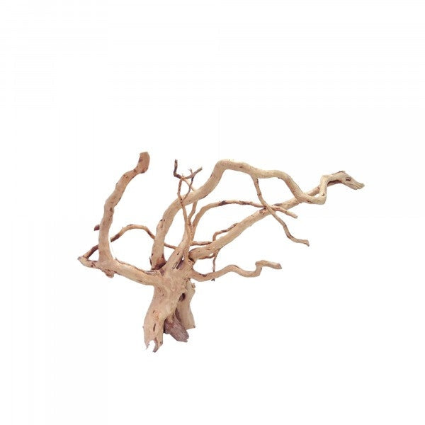 Bioscape Spider Wood Small 20 - 30cm