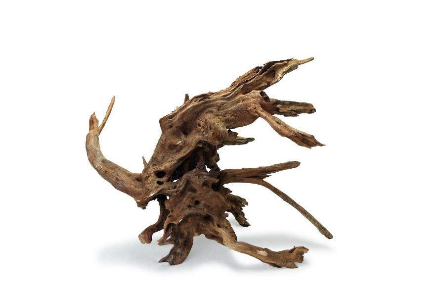 Wyld Pacific Wood M