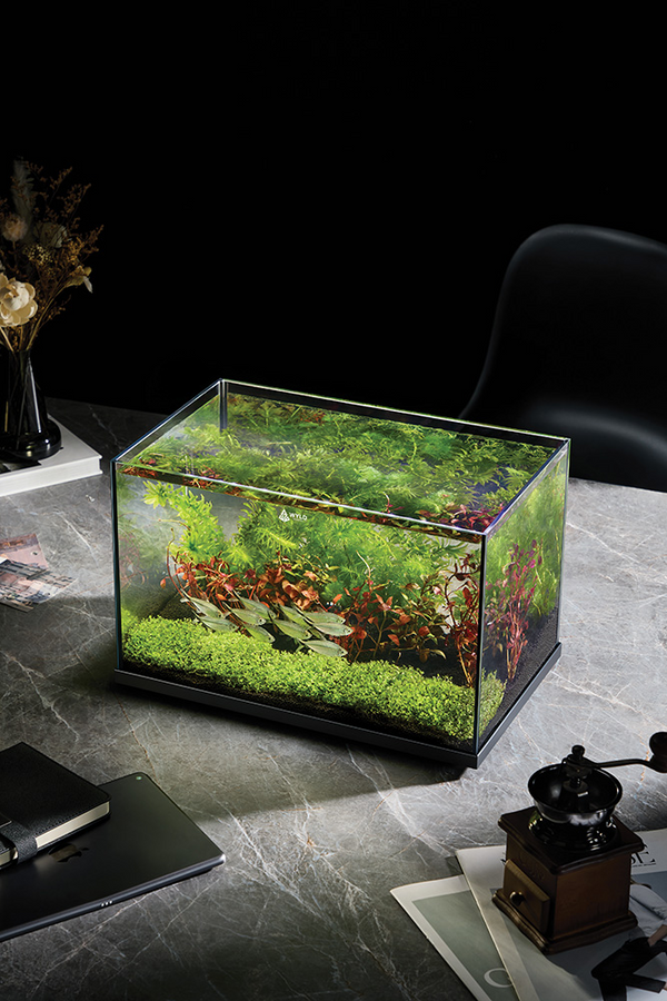 Wyld Scaper Forma Aquarium 27l (406*256*262mm)