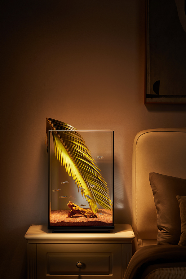 Wyld Scaper Alta Aquarium 44l (306*306*472mm)