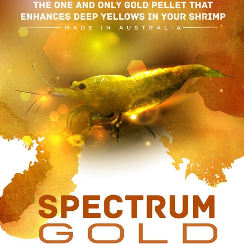 Sas Shrimp Food Spectrum Gold 30g