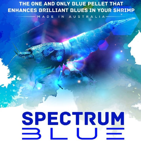 Sas Shrimp Food Spectrum Blue 30g
