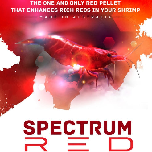 Sas Shrimp Food Spectrum Red 30g