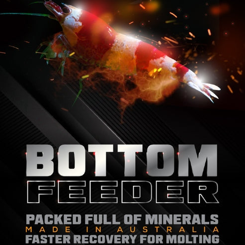 Sas Shrimp Bottom Feeder 25g