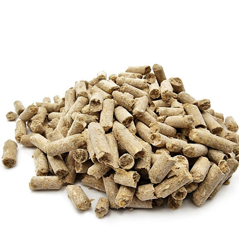 Sas Shrimp Bottom Feeder 25g