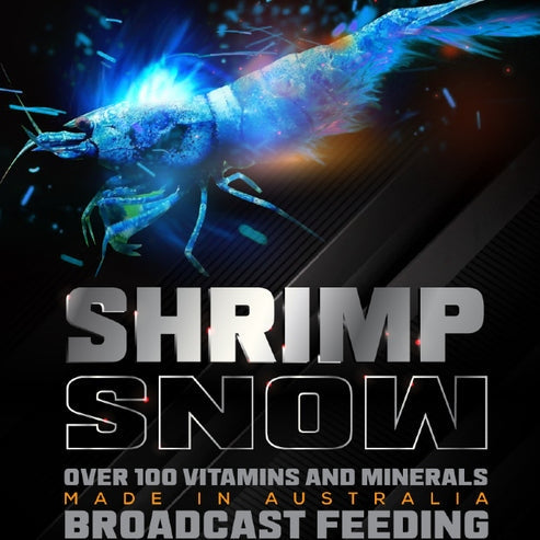 Sas Shrimp Snow 25g