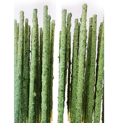 Sas Shrimp Pops Green Rods Pack Of 10