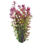 Bunched Plants - Pink Baby Tears (Rotala rotundifolia)