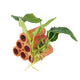 Sticky Image