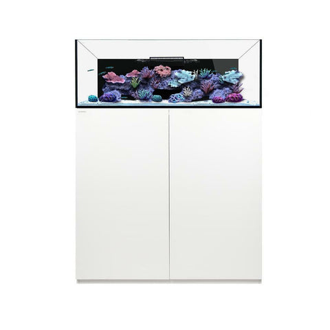 Waterbox Aquariums Frag 85.3 (tank, Cabinent, Sump, Plumbing) (white)-Hurstville Aquarium