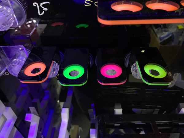 Frag Rack Single Hole Black/neo Yellow-Hurstville Aquarium