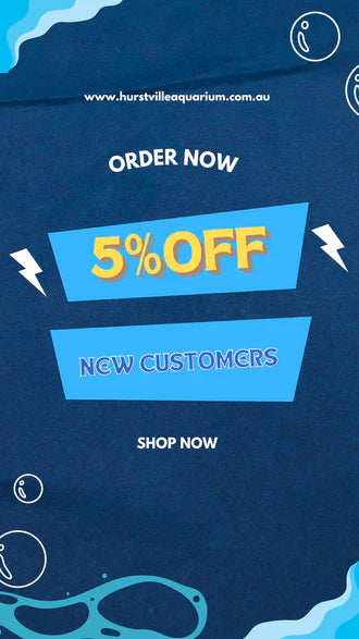 Collection page banner